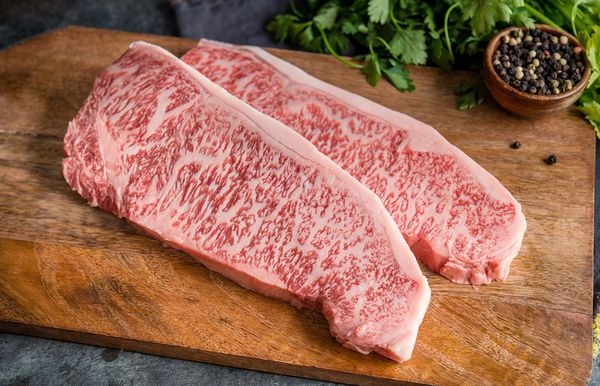 wagyu bò